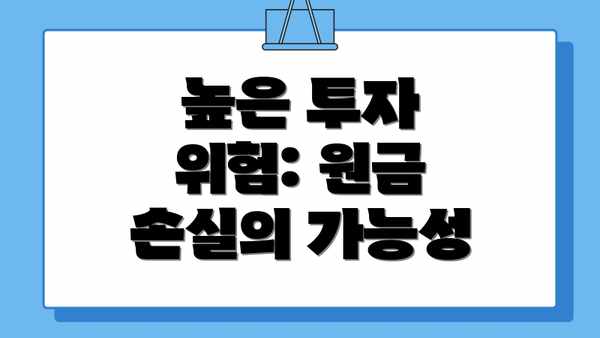 높은 투자 위험: 원금 손실의 가능성