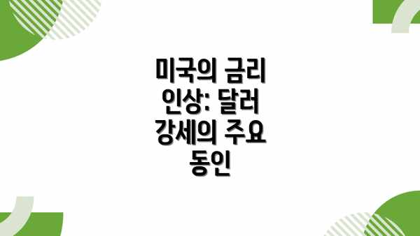 미국의 금리 인상: 달러 강세의 주요 동인