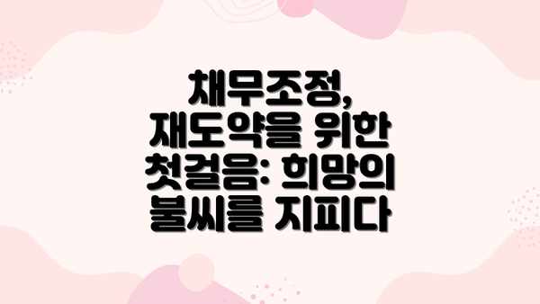 채무조정, 재도약을 위한 첫걸음: 희망의 불씨를 지피다