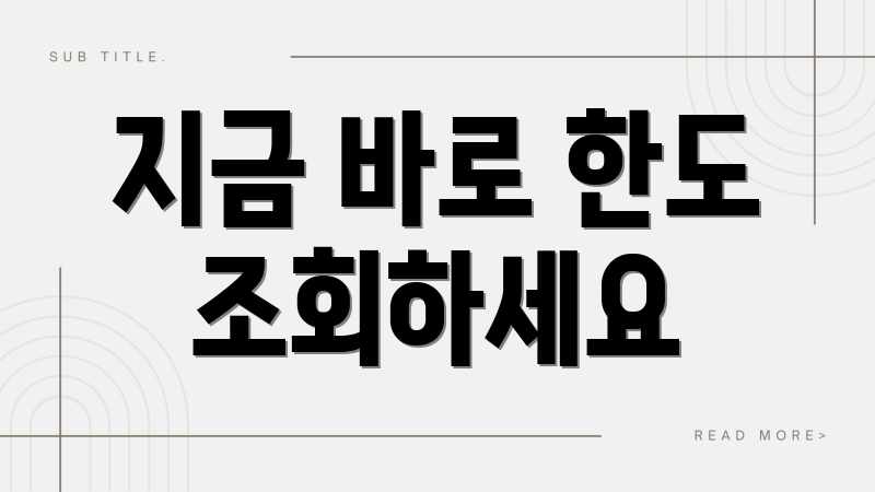 지금 바로 한도 조회하세요
