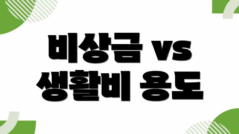 비상금 vs 생활비 용도