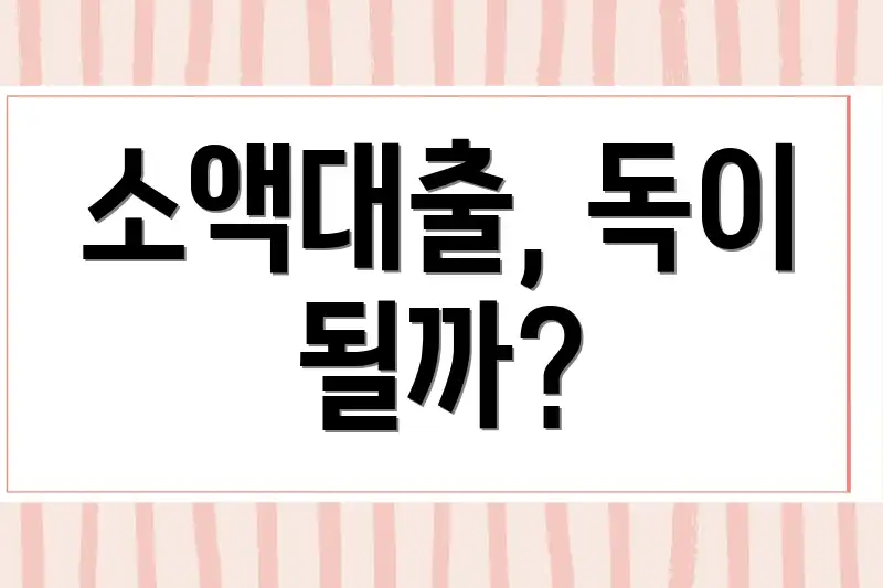 소액대출, 독이 될까?