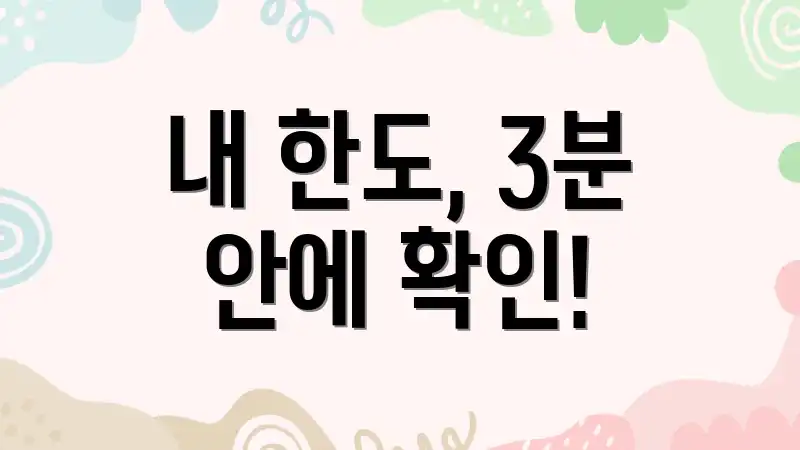 내 한도, 3분 안에 확인!