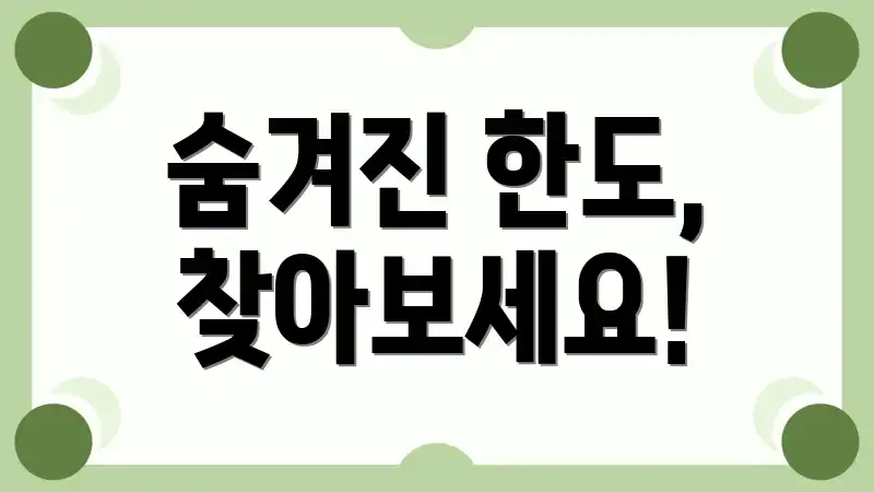 숨겨진 한도, 찾아보세요!