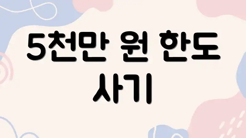 5천만 원 한도 사기