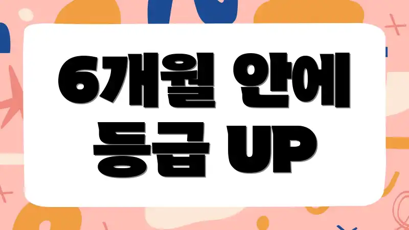 6개월 안에 등급 UP