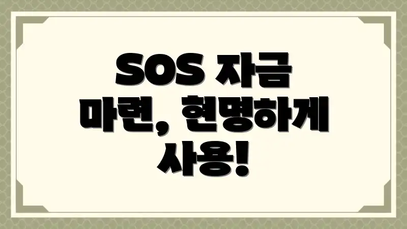 SOS 자금 마련, 현명하게 사용!