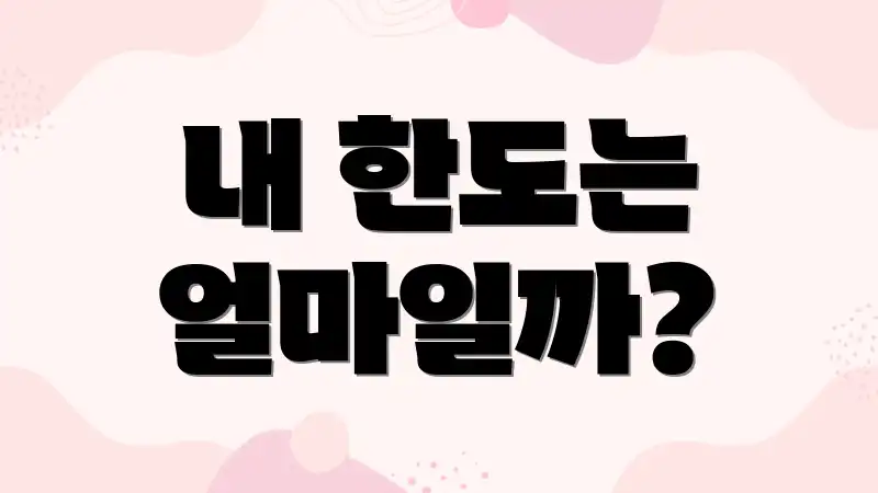내 한도는 얼마일까?