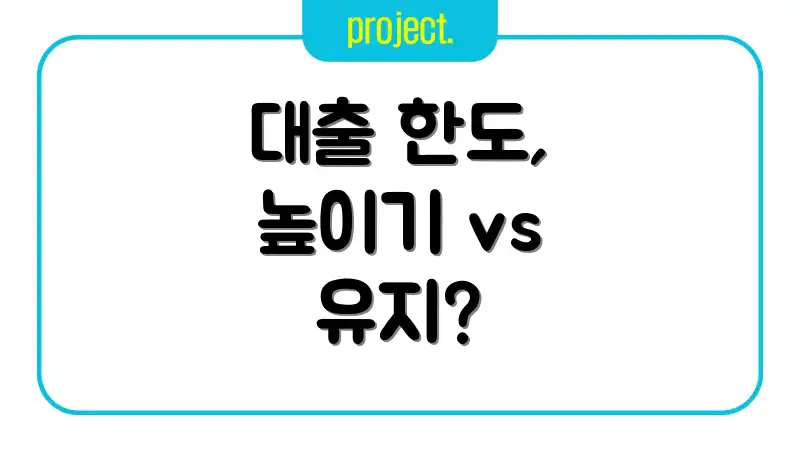 대출 한도, 높이기 vs 유지?